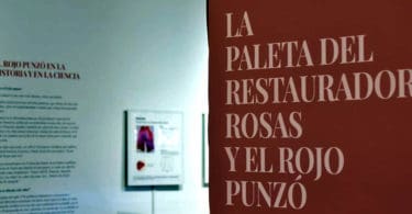 Rosas y el Rojo Punzó