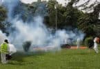 Dengue, no fumigar parques