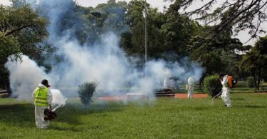 Dengue, no fumigar parques