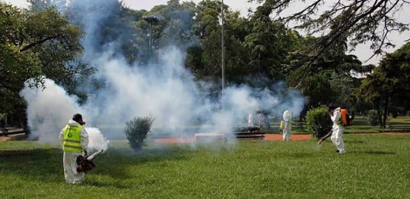 Dengue, no fumigar parques