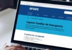 IFE ANSES