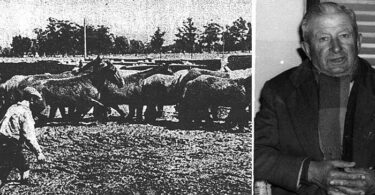 El Piamonte, Devoto y los hornos de ladrillos