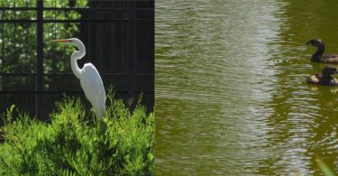 Reserva Ecológica Parque Sarmiento