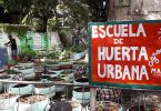 Escuela Huerta Urbana