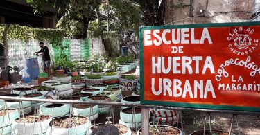 Escuela Huerta Urbana