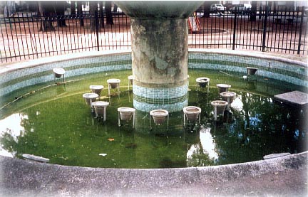 Fuente Plaza Alem