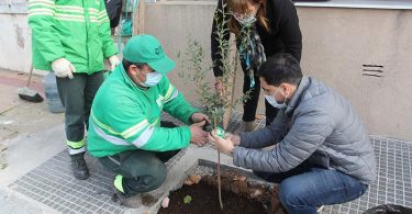 Plantación árbol nativo en Villa del Parque