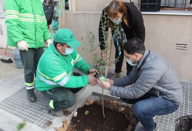 Plantación árbol nativo en Villa del Parque