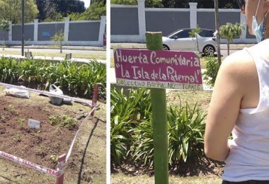 Huerta Comunitaria Isla de la Paternal