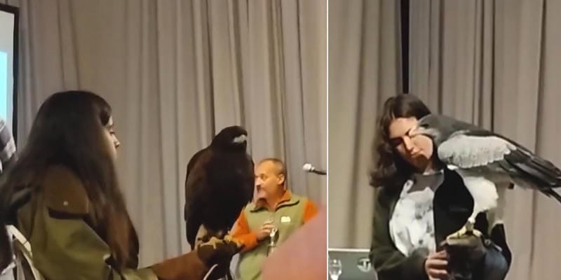 Clase en Agronomía sobre Aves rapaces