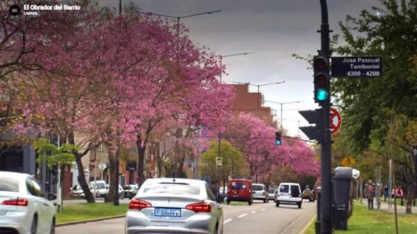 Documental El Obrador del Barrio