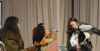 Clase en Agronomía sobre Aves rapaces